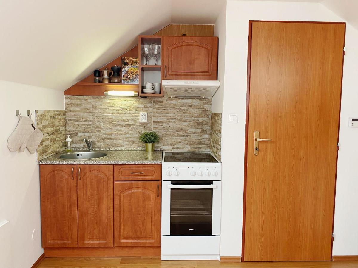 Karlovice  Apartman Karlovice מראה חיצוני תמונה